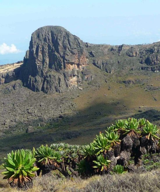 11 Days Mount Elgon Adventure Hike