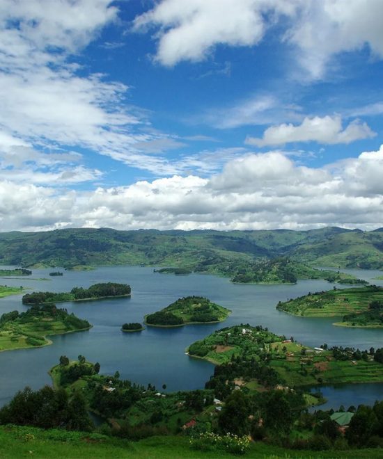 6 Days Uganda Birding Adventure