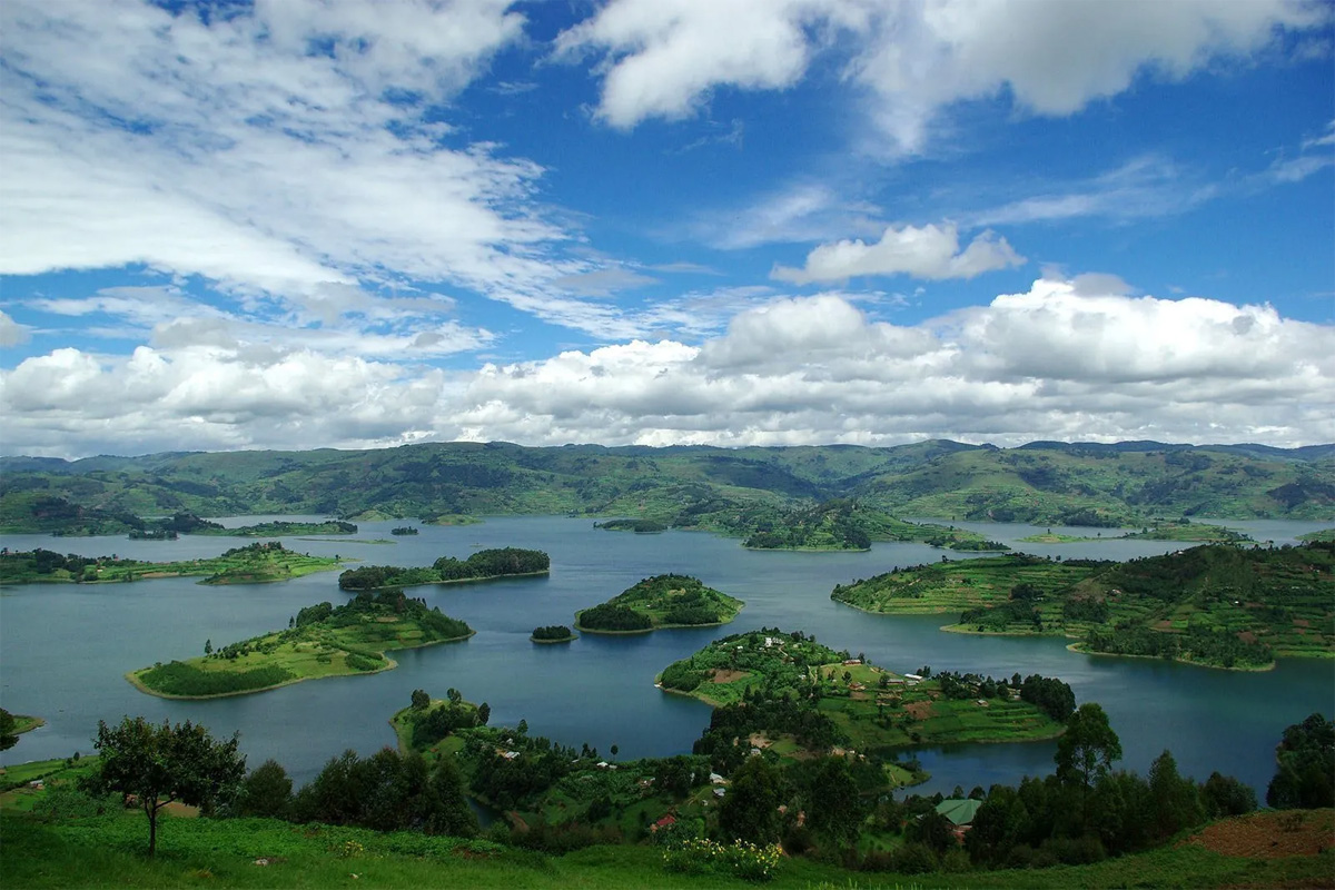 6 Days Uganda Birding Adventure